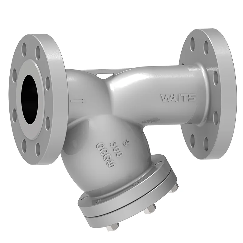 Судасны төмрийн төмс y-Strainer